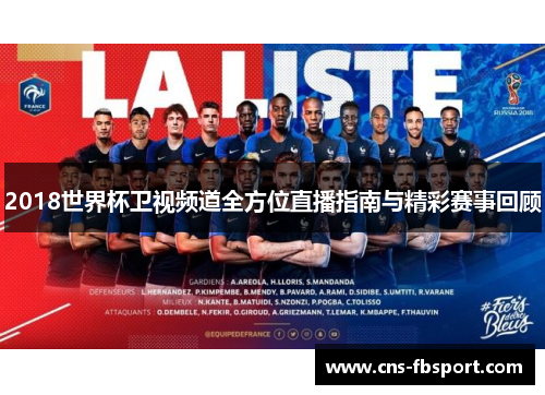 2018世界杯卫视频道全方位直播指南与精彩赛事回顾