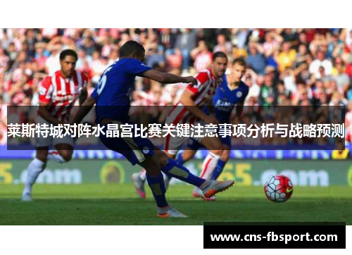 莱斯特城对阵水晶宫比赛关键注意事项分析与战略预测