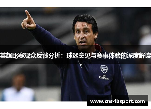 英超比赛观众反馈分析：球迷意见与赛事体验的深度解读