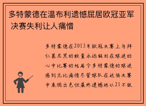 多特蒙德在温布利遗憾屈居欧冠亚军 决赛失利让人痛惜